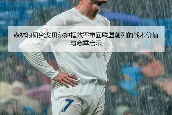 森林狼研究戈贝尔护框效率重回联盟前列的战术价值与赛季启示